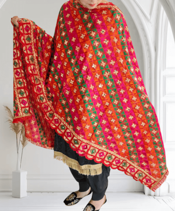 Multishade Phulkari Dupatta